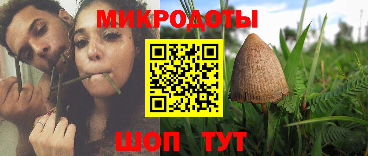 Псилоцибиновые грибы GOLDEN TEACHER Строитель